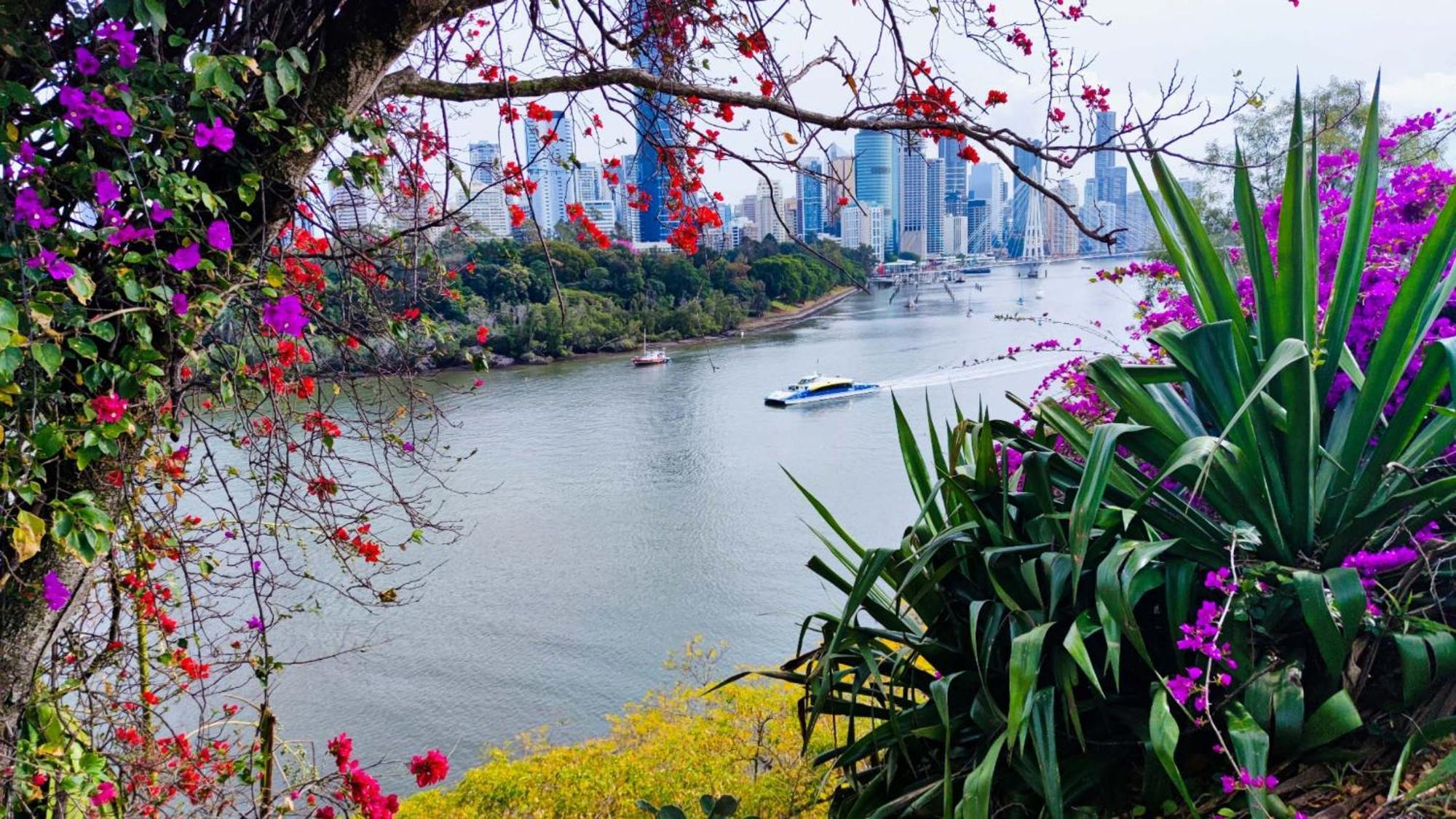 Cliffinn Kangaroo Point Brisbane Bagian luar foto